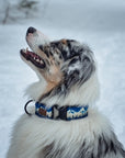 Blue Ridge Mountain Dog Collar