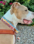 Let's Hike Fall Dog Collar