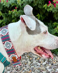 Painted Hills Dog Collar