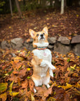 Let's Hike Fall Dog Collar