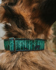 Olympia Dog Collar