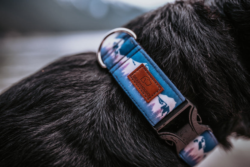 Gray and Hound The Best Outdoor Dog Collars and Leashes GrayandHound