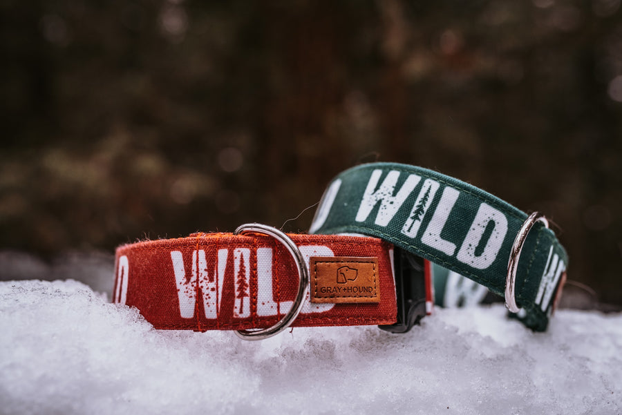 WILD Collection