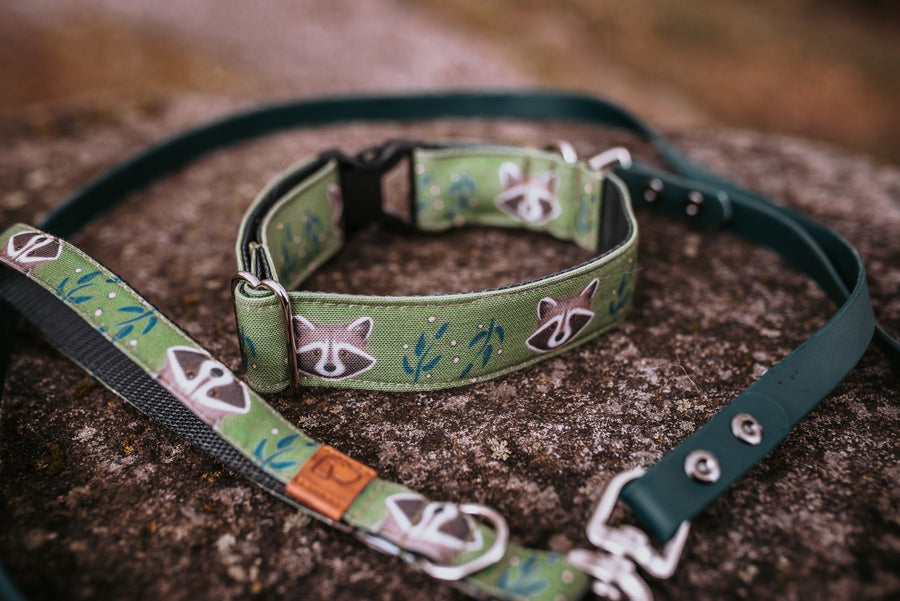 Olive raccoon dog collar and waterproof leash