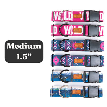 Medium 1.5" Plastic Buckle [Assorted]