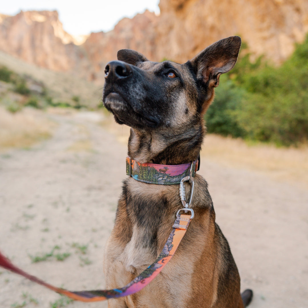 Yosemite Parkside Collar