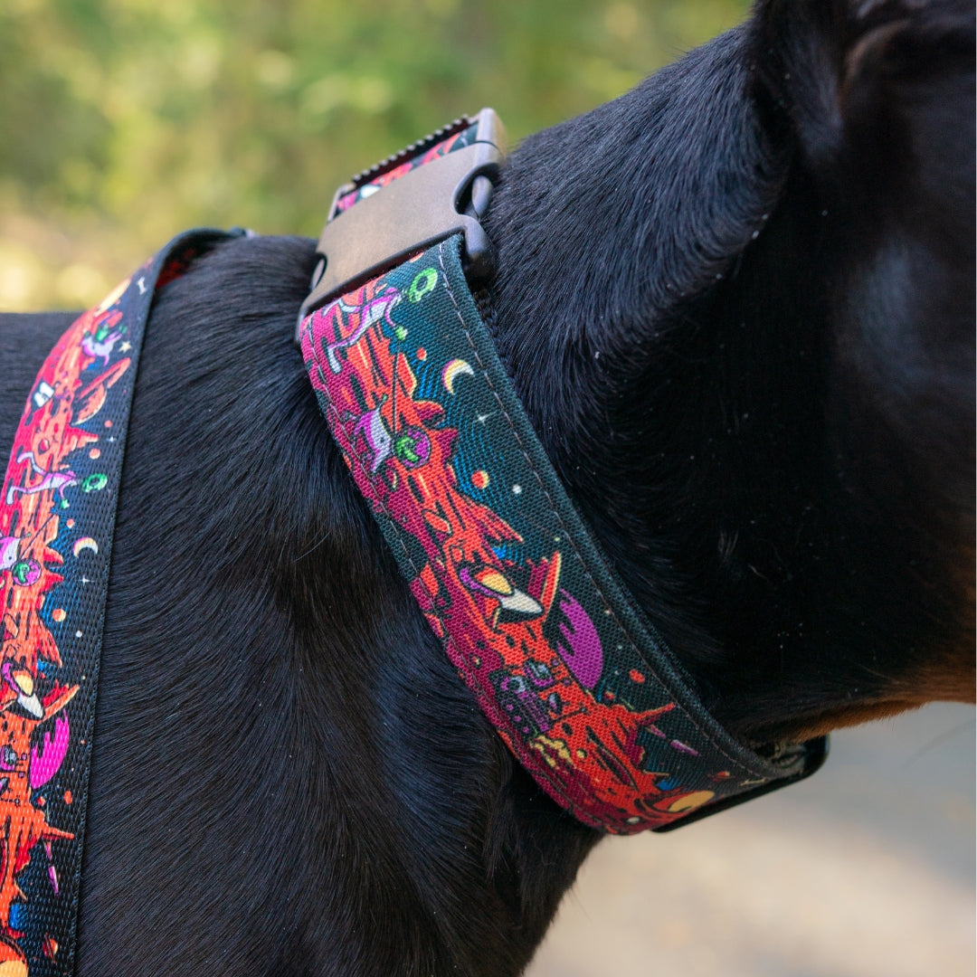 Rover Buckle-On Martingale Collar