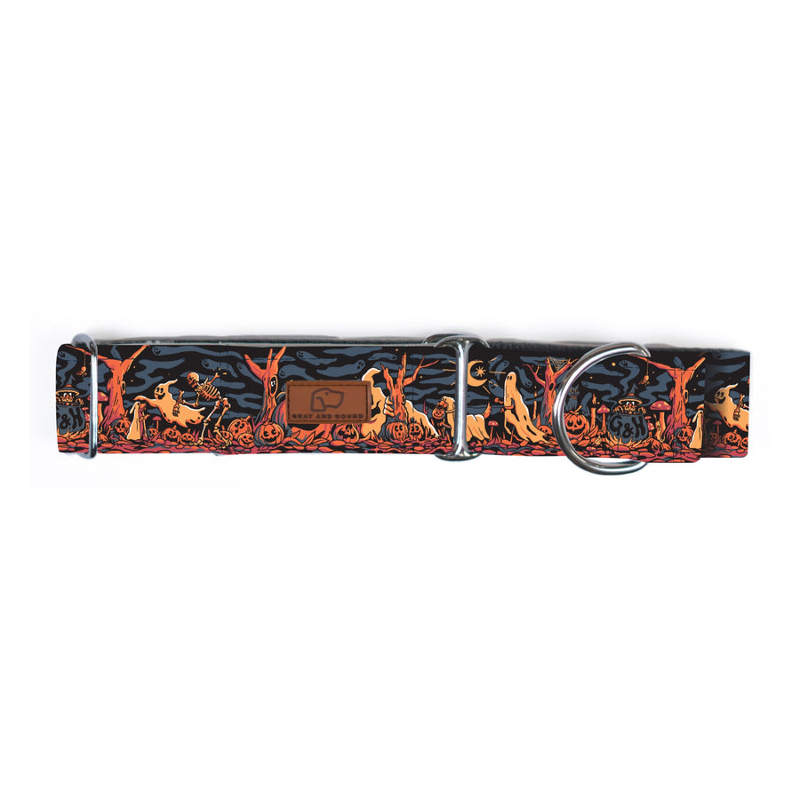 Haunted Hounds Dog Collar [Special Edition Artist Series]