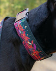 Rover Collar