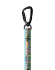 Stroll Dog Leash [pick your design]