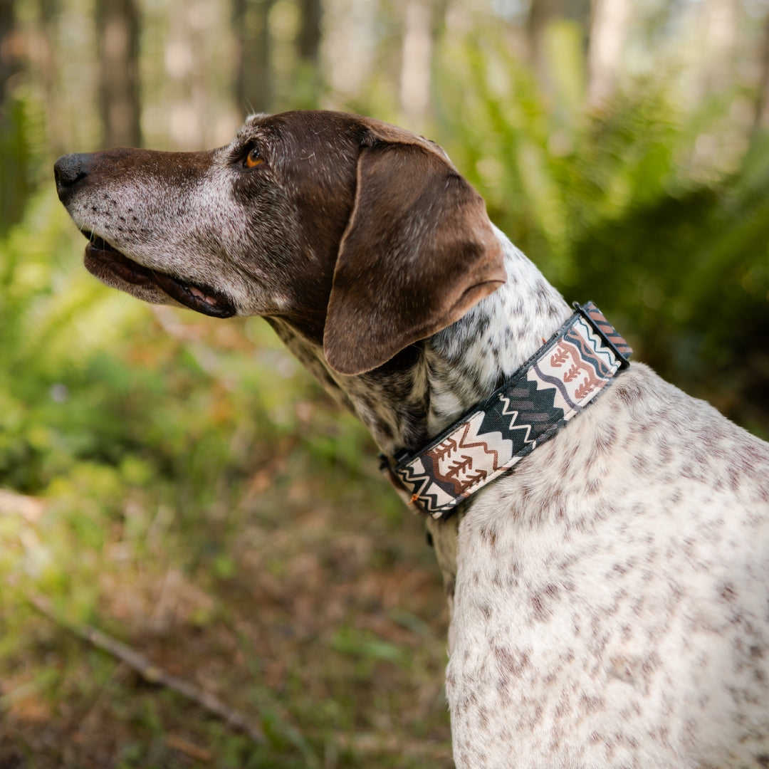 Elements in Obsidian Buckle-On Martingale Collar