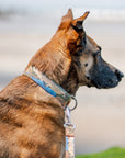 Acadia Parkside Buckle-On Martingale Collar