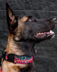 Rover Buckle-On Martingale Collar