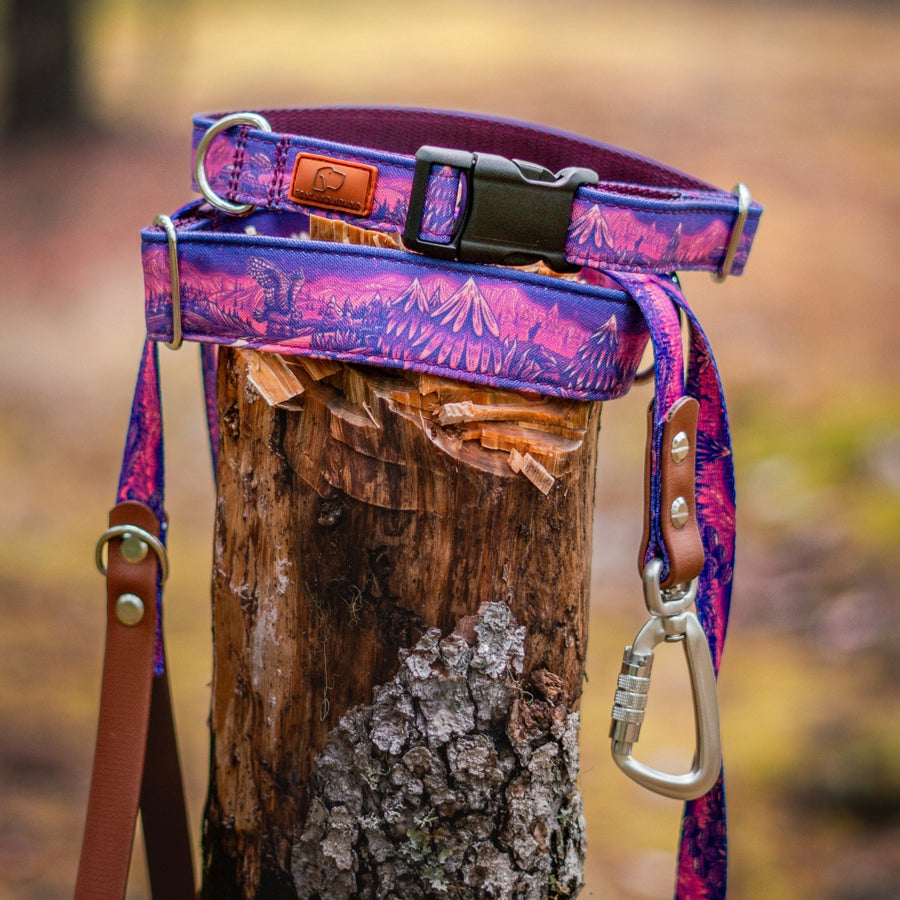 Enchantments in Purple Dog Collar [Limited Edition Artist Series]