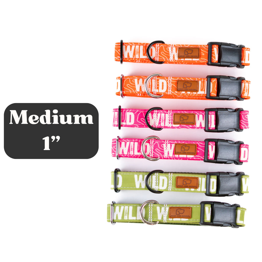 Medium 1" Plastic Buckle [Assorted]