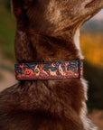 Haunted Hounds Dog Collar Special Edition [ready to ship]