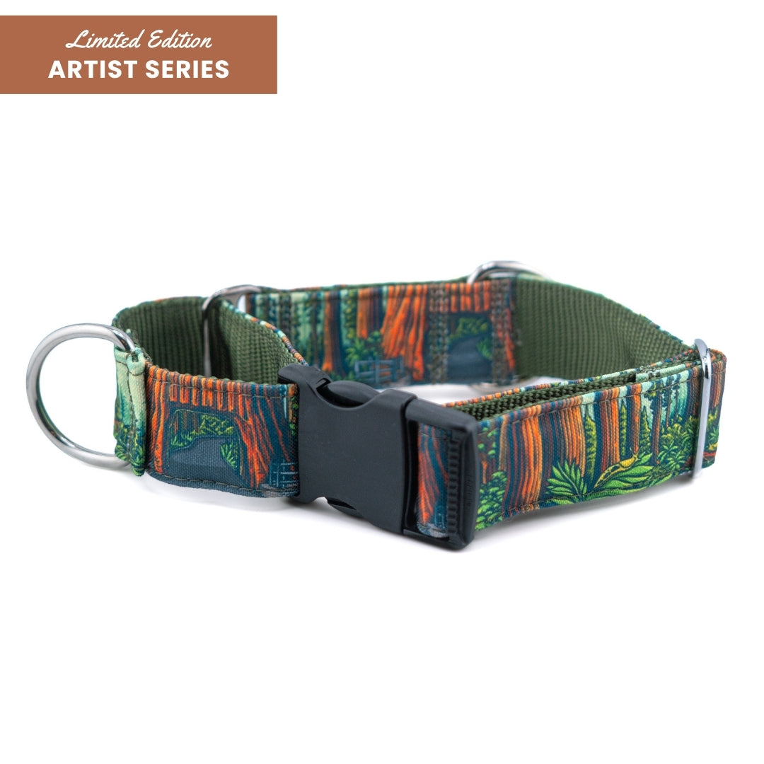 Redwood Parkside Buckle-On Martingale Collar