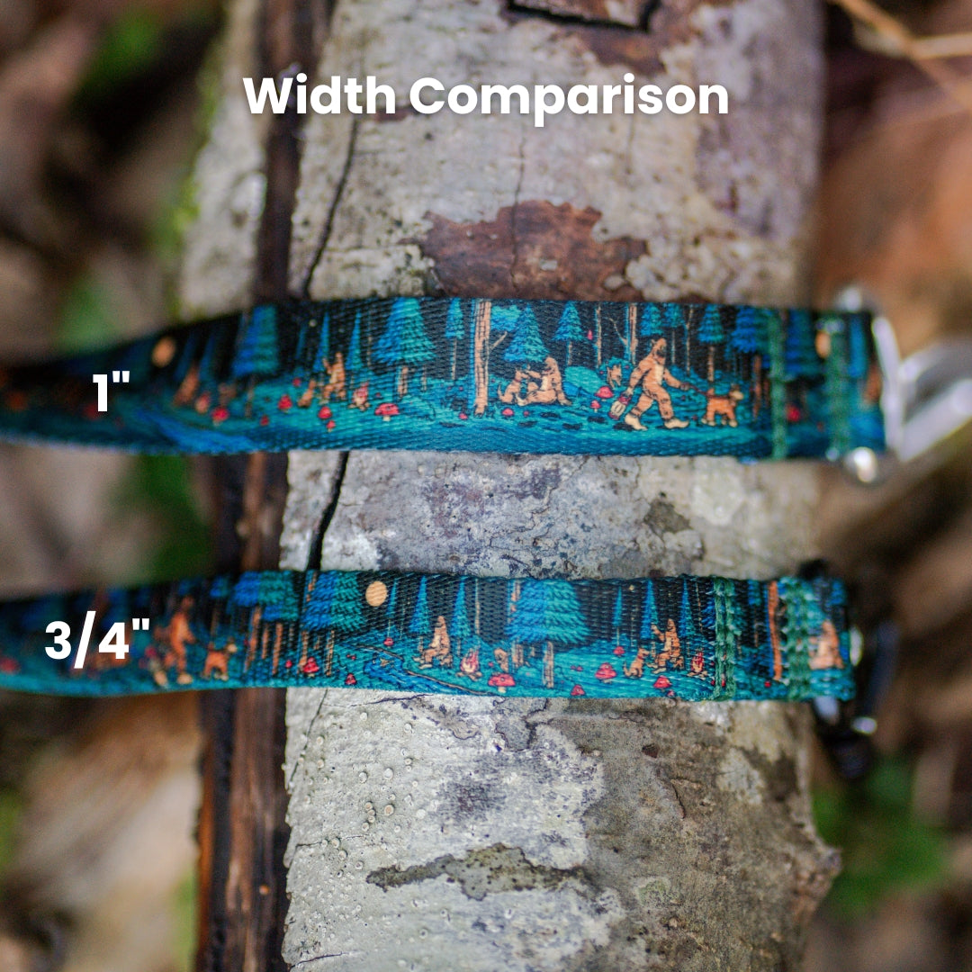 Sasquatch Shadows Leash