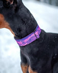 Enchantments in Purple Dog Collar [Limited Edition Artist Series]