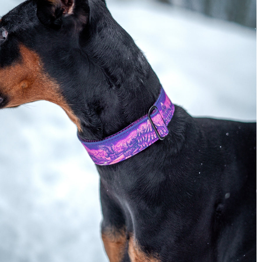 Enchantments in Purple Dog Collar [Limited Edition Artist Series]