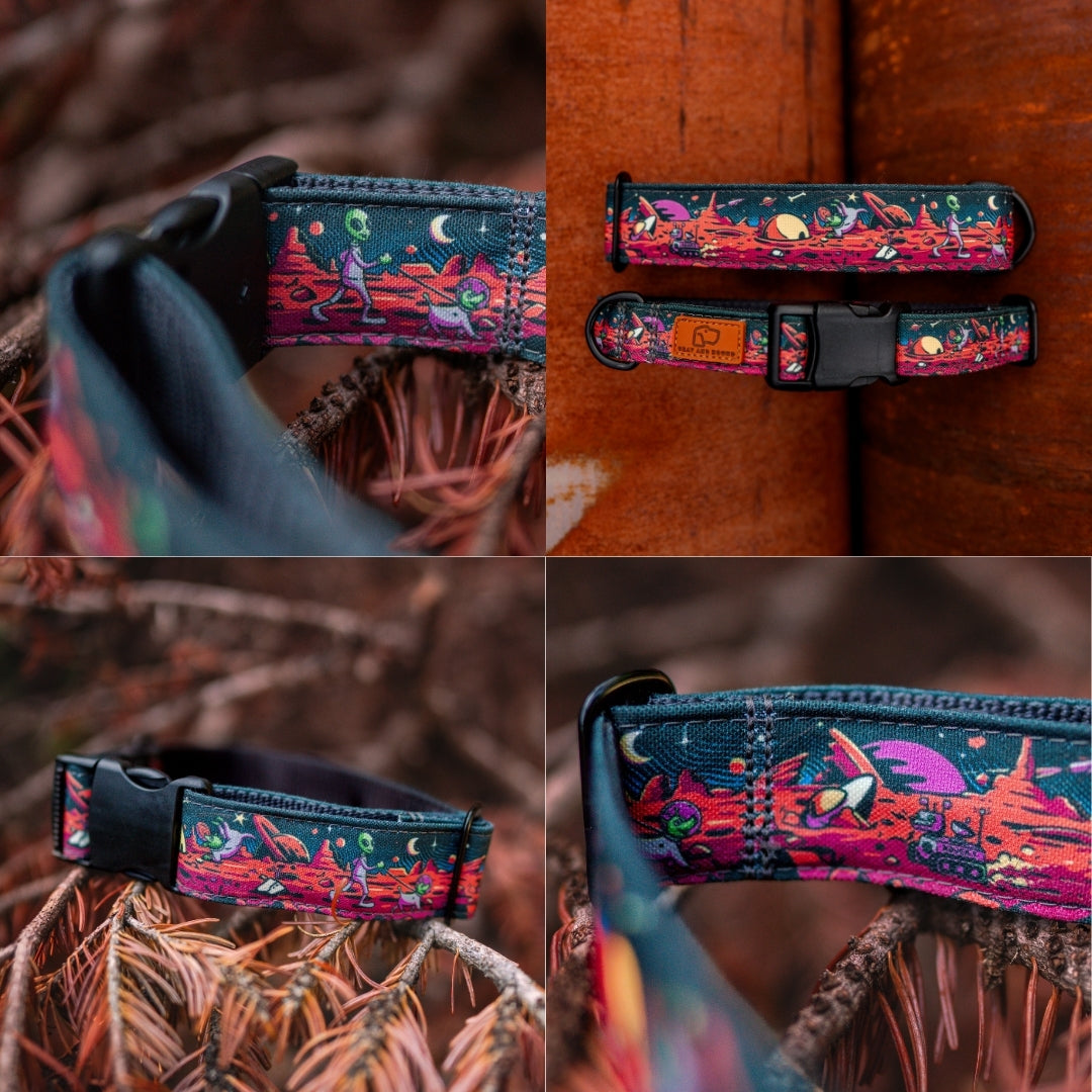 Rover Collar