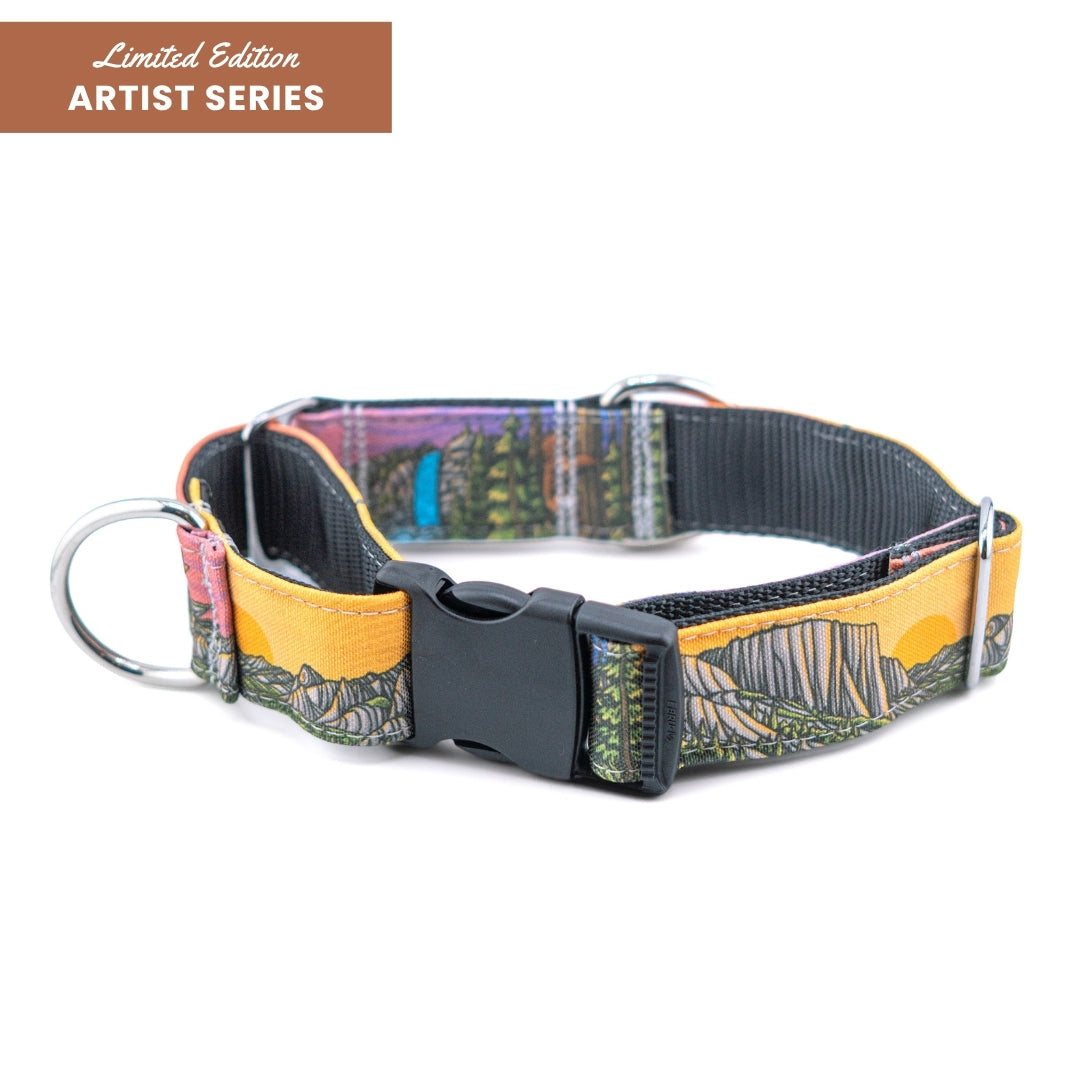 Yosemite Parkside Buckle-On Martingale Collar