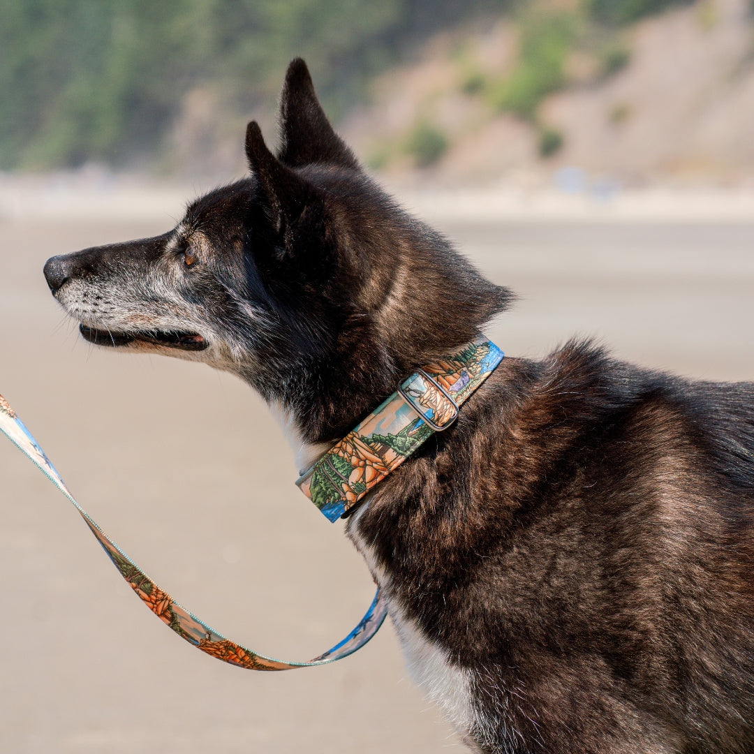 Acadia Parkside Buckle-On Martingale Collar