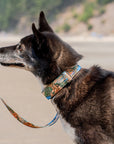 Acadia Parkside Buckle-On Martingale Collar