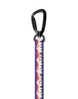 Stroll Dog Leash [pick your design]