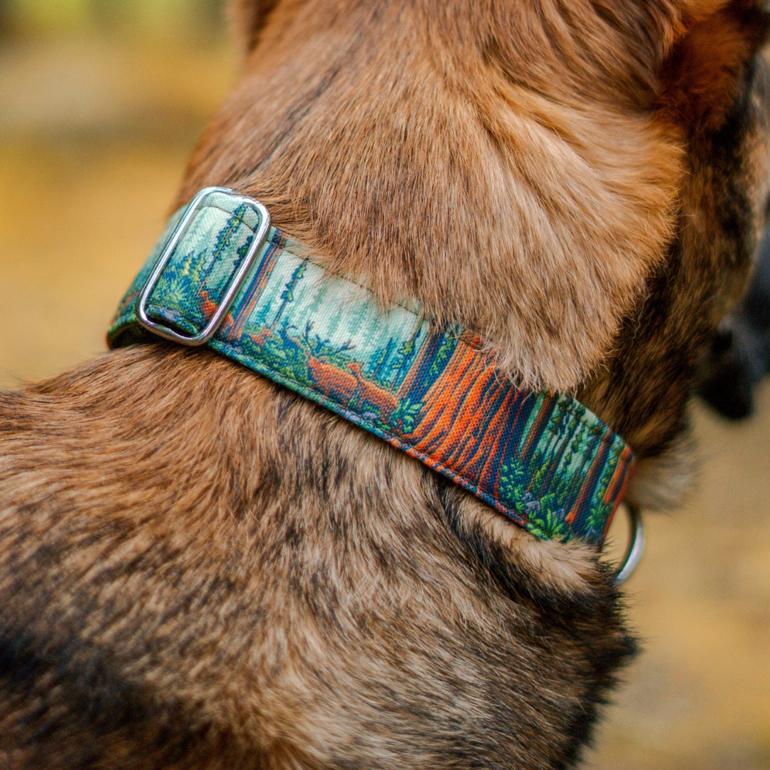 Redwoods Parkside Collar
