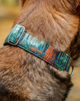 Redwoods Parkside Collar