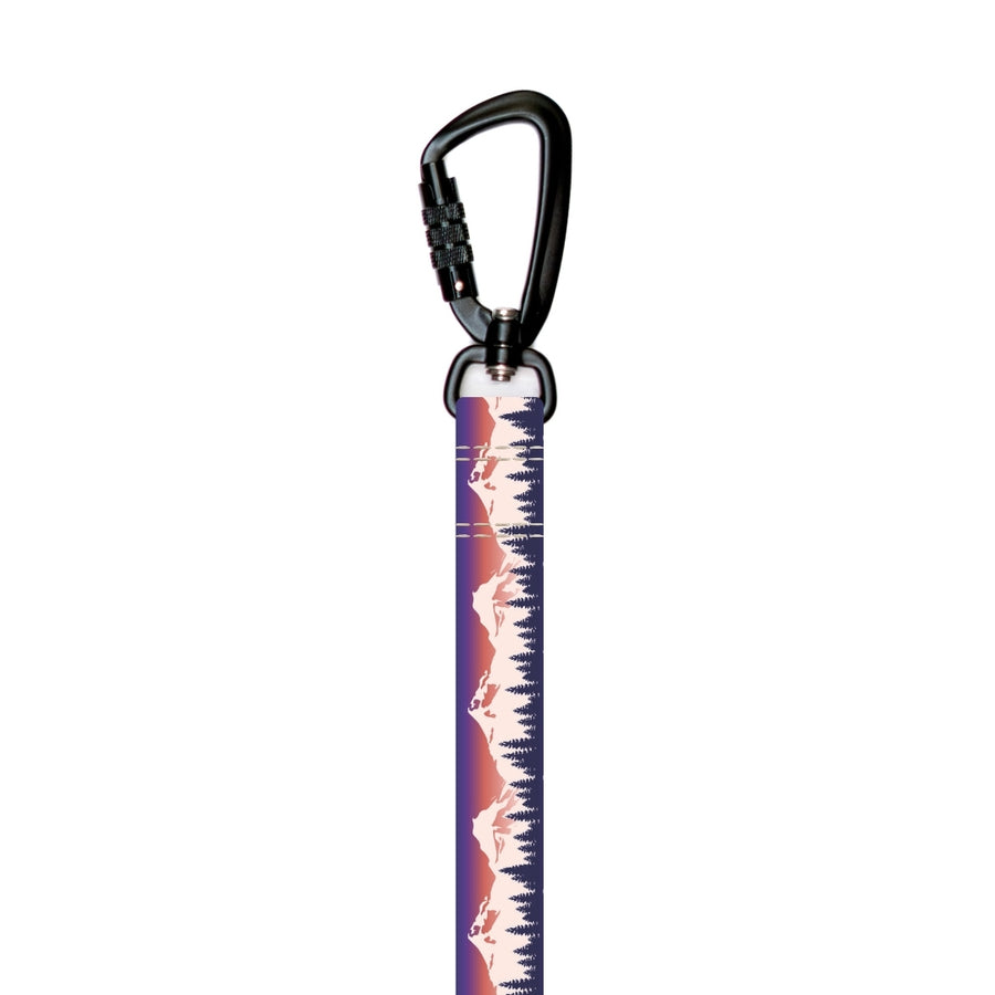 Roam Hands-Free Dog Leash [pick your design]