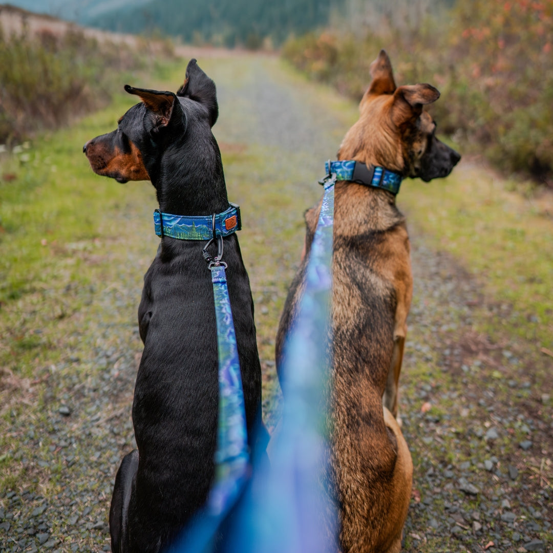 Luminous Peaks Hybrid Martingale Collar