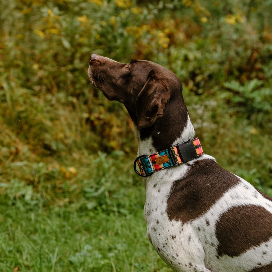 Sedona Geo Dog Collar