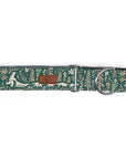 Nordic Sled Dog Collar