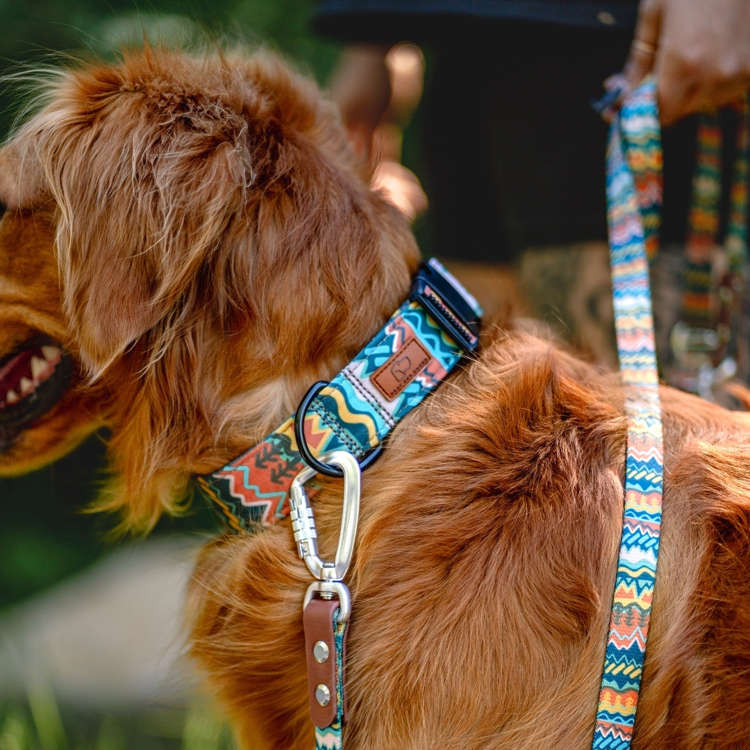 Elements in Green Collar