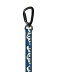 Blue Ridge Leash