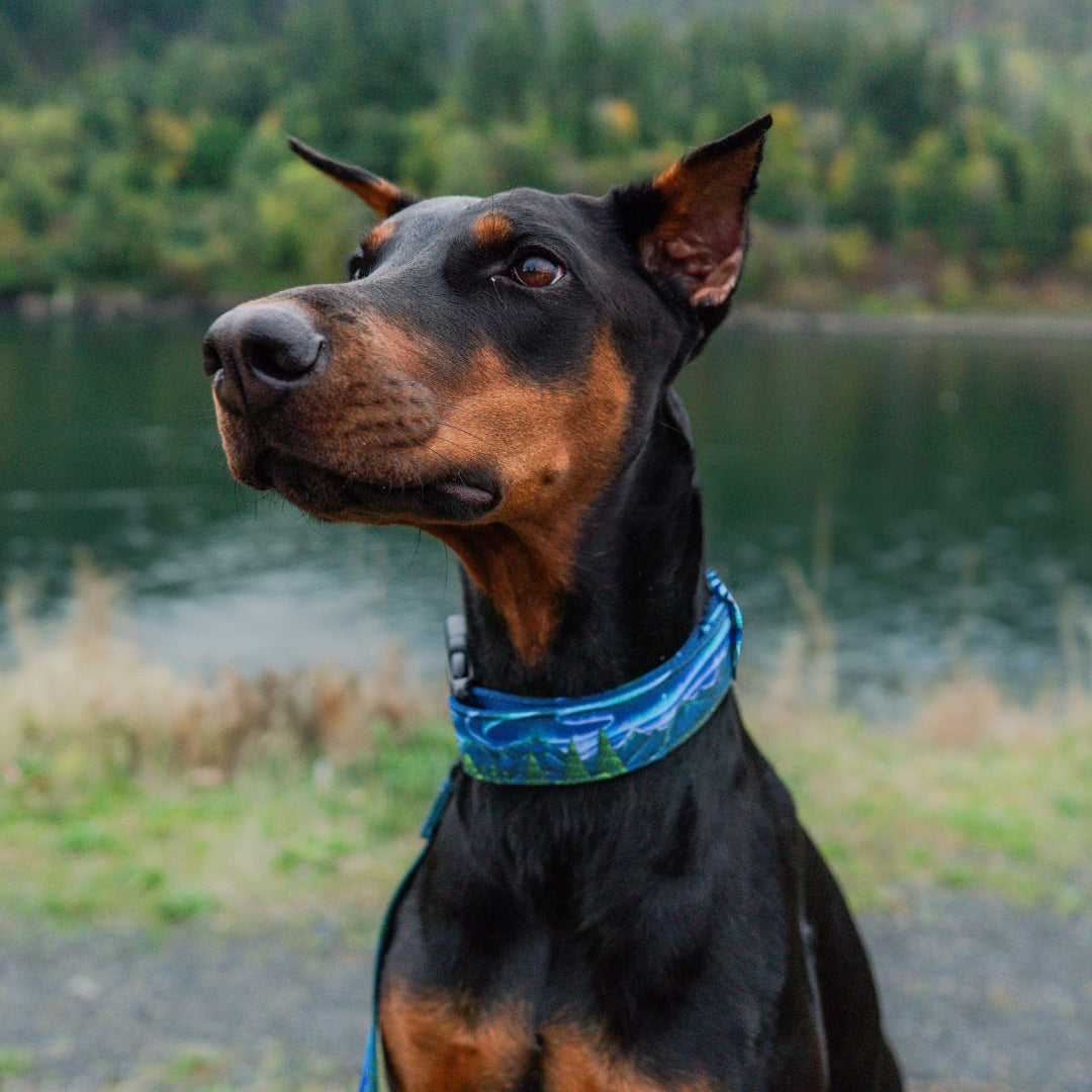 Luminous Peaks Hybrid Martingale Collar