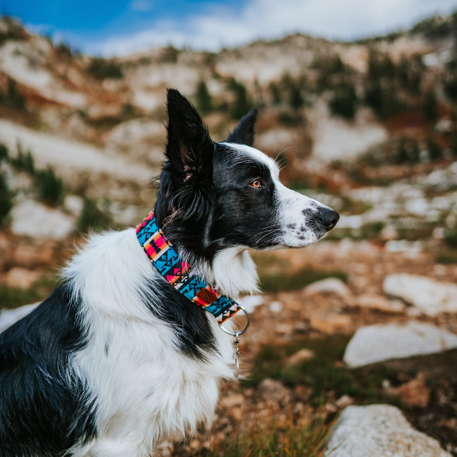 Sedona Geo Dog Collar