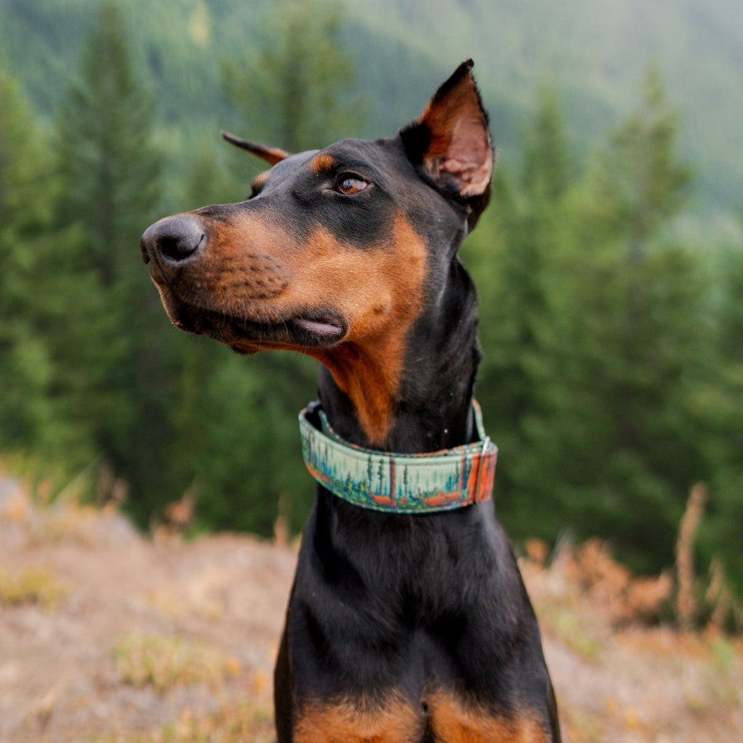 Redwood Parkside Buckle-On Martingale Collar
