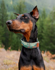 Redwood Parkside Buckle-On Martingale Collar