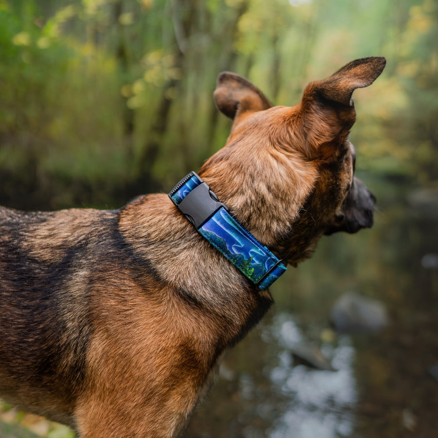 Luminous Peaks Dog Collar | Limited Artist Series