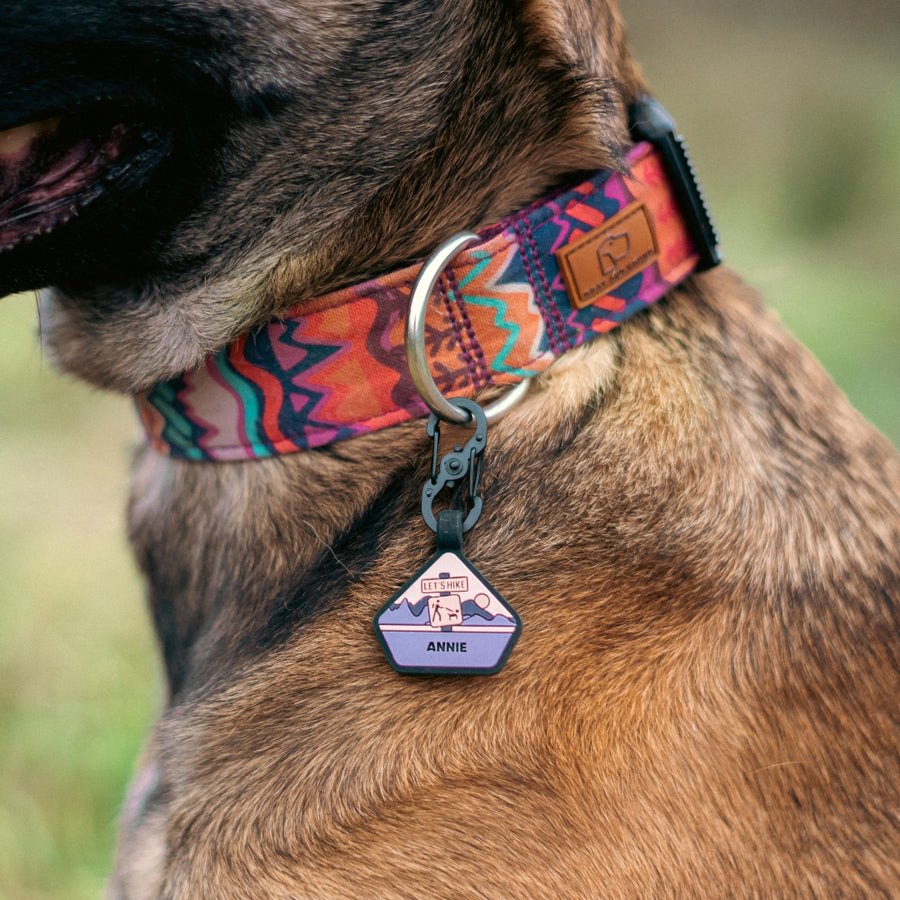 Elements in Pink Dog Collar