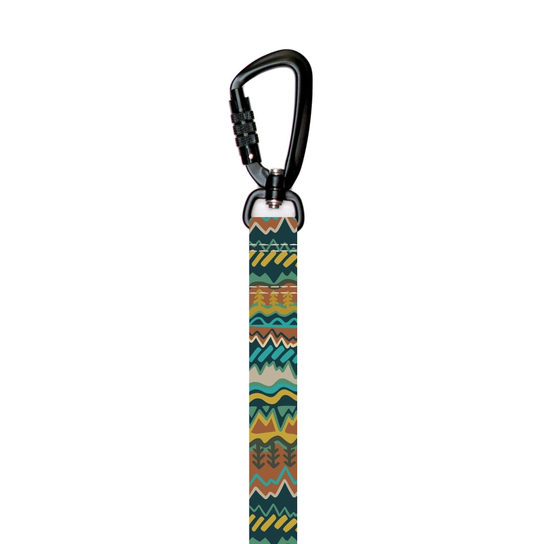 Stroll Dog Leash [pick your design]