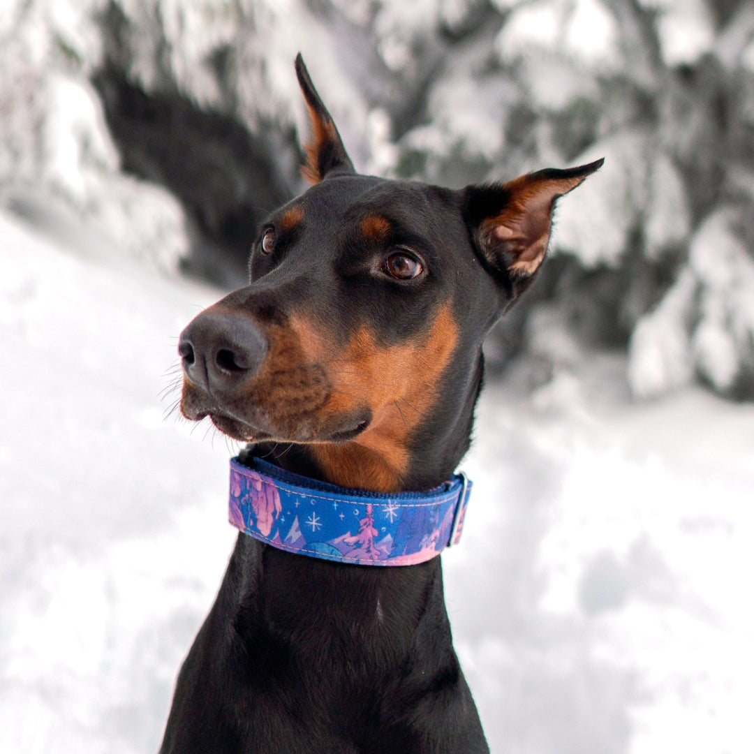 Frosted Pines Hybrid Martingale Collar