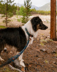 Sasquatch Shadows Leash