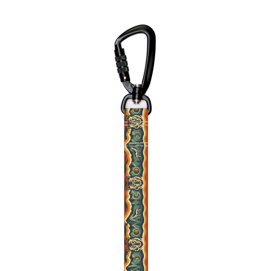 Stroll Dog Leash [pick your design]