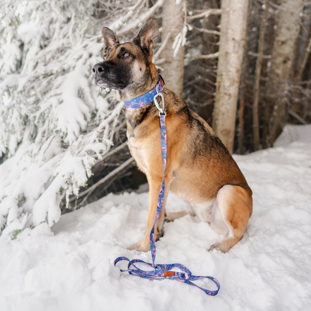Frosted Pines Hybrid Martingale Collar