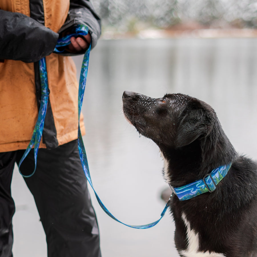 Luminous Peaks Dog Leash [artist limited edition]