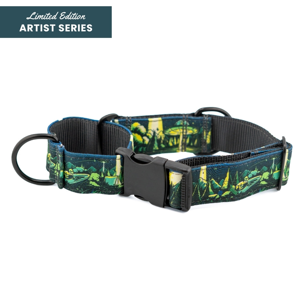 1947 Buckle-On Martingale Collar